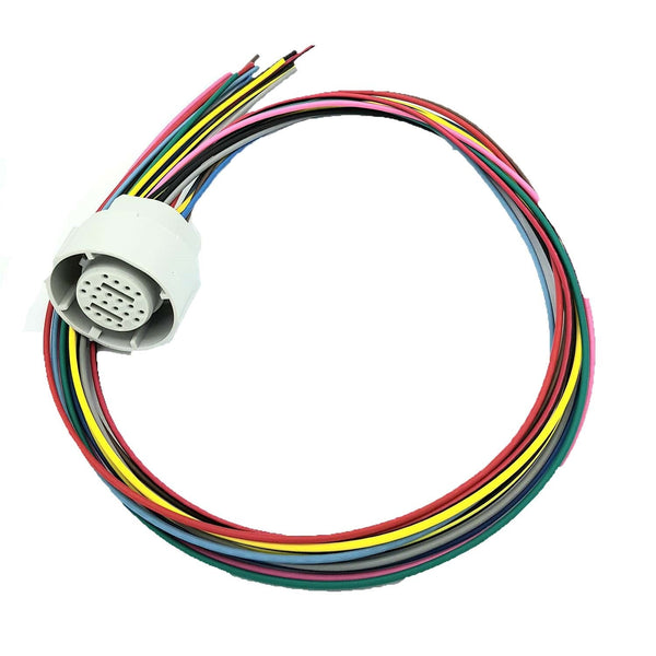 4l80e repair kit test harness external harness (20 pin) 1994-up (ROSTR.A) Automatic transmission